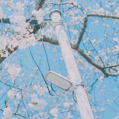 凯发k8唯一官方旗舰版